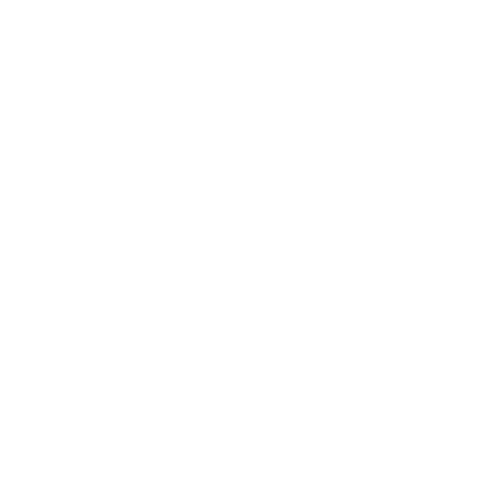 vestiarydiaphora